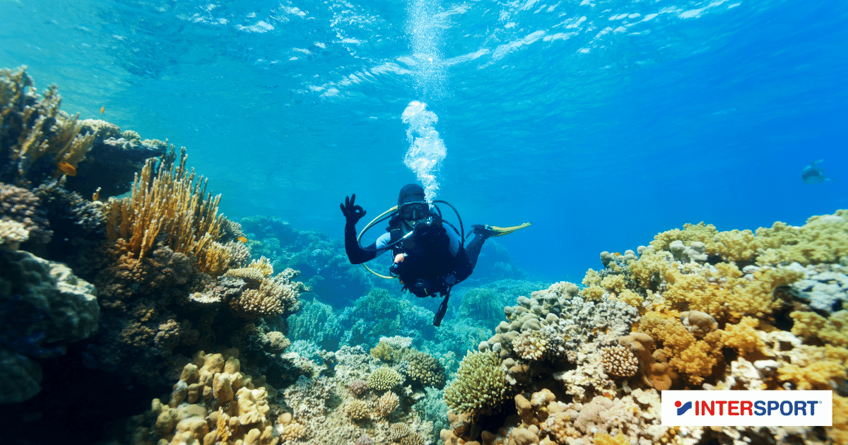 Plongée sous marine - Intersport Martinique Guadeloupe